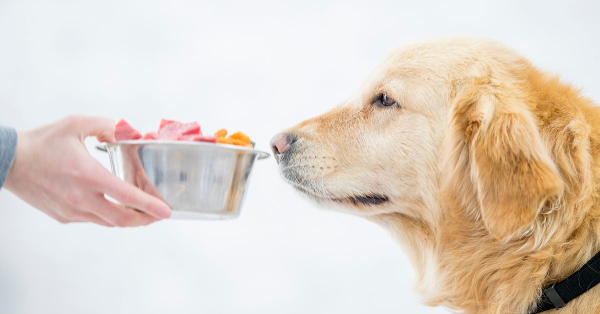 How Breed-Specific Vitamins Can Protect Your Canine's Health – Aralis ... - Do Dogs Get Vitamins From Eating Hay