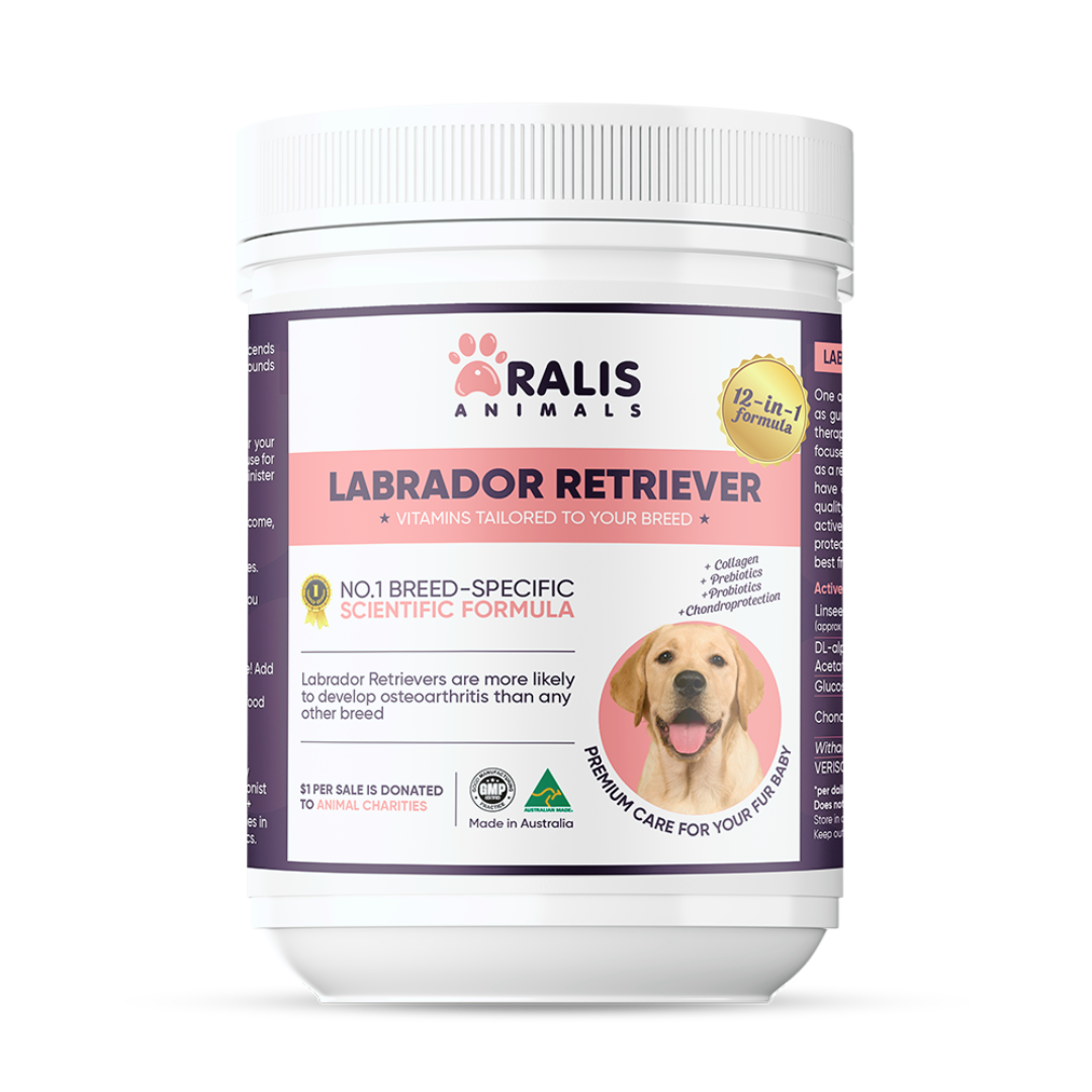 Best vitamins for labrador puppy best sale
