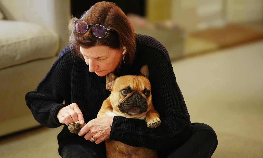 Why Your Companion Dog May Have Anxiety and How Breed-Specific Vitamins Can Help