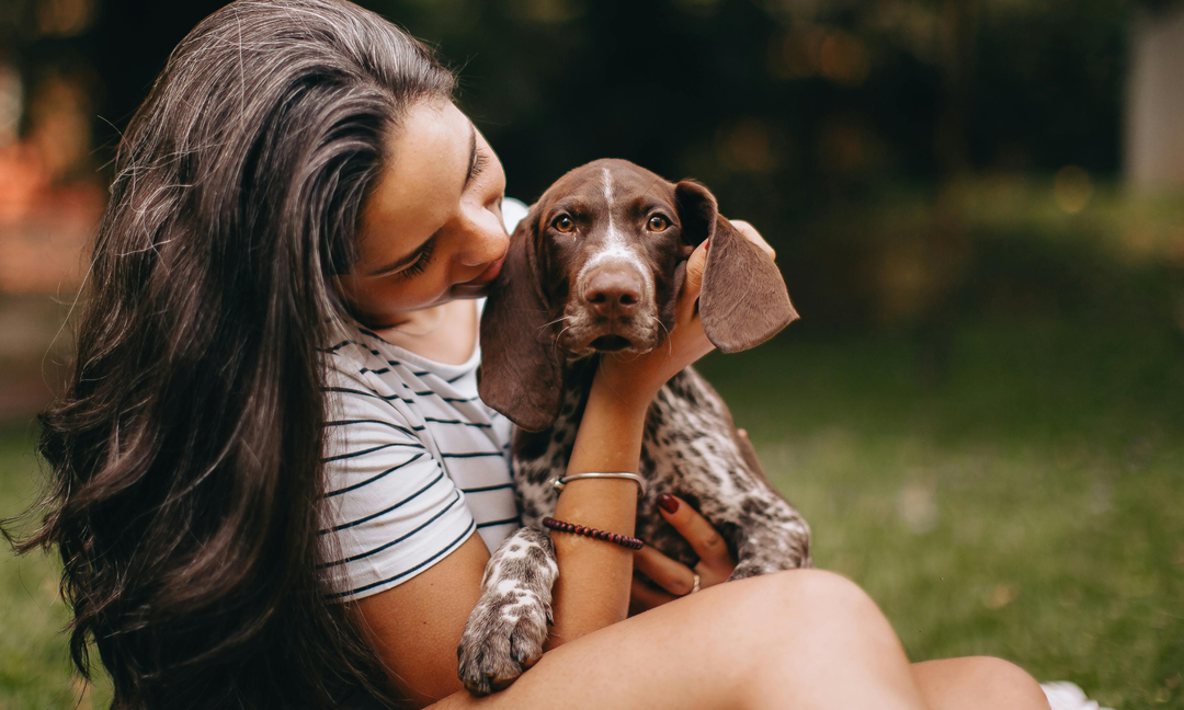 What to Look for in the Best Multivitamin Powder for Dogs