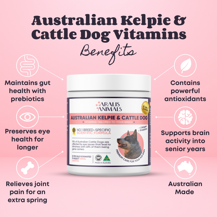 Australian Kelpie and Cattle Dog