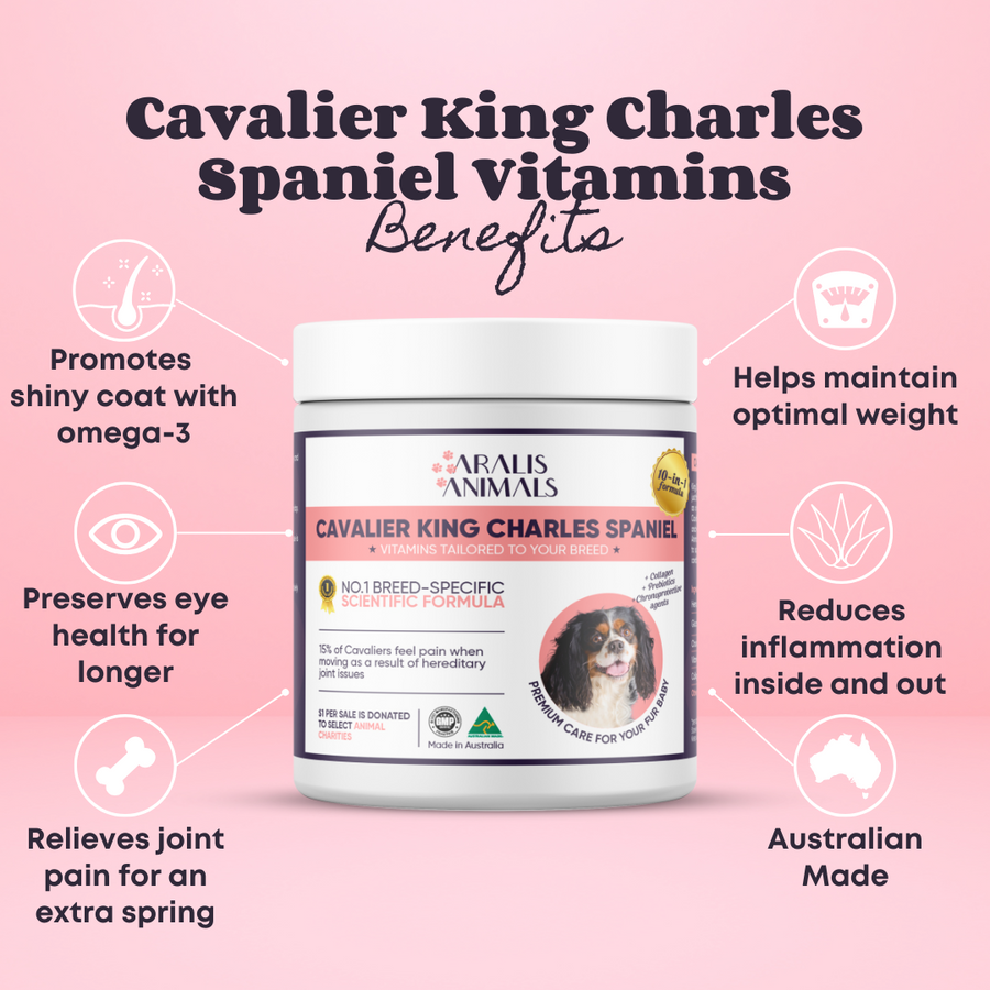 Buy Cavalier King Charles Spaniel Vitamins for Dogs Aralis Animals