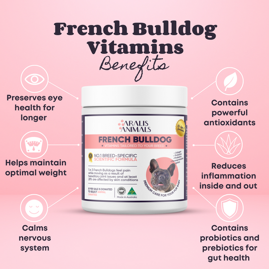 Buy French Bulldog Vitamins for Dogs in Australia Aralis Animals