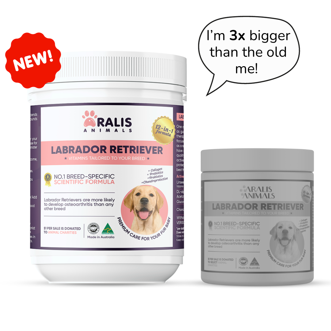 Buy Labrador Retriever Vitamin Aralis Animals