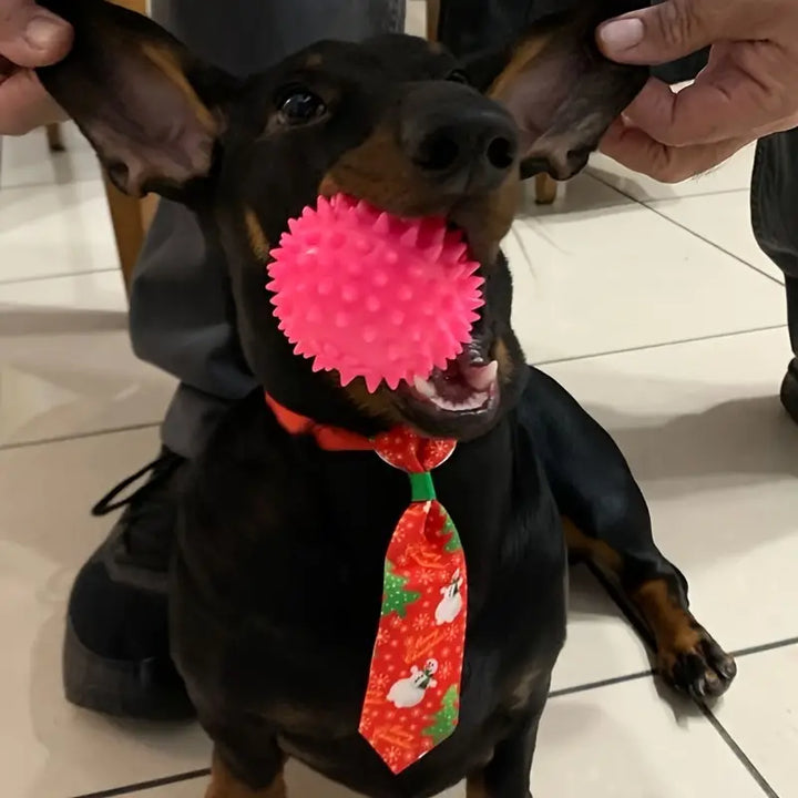 Teeth Cleaning Dog Ball (6.5cm)